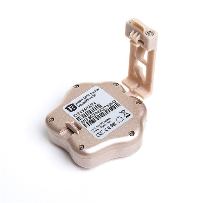 GPS маячок для собак Jiks Spike (Золотий) GPS маячок для собак Jiks Spike (Золотий)
