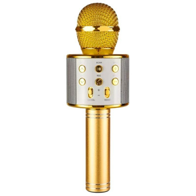 Караоке Мікрофон-колонка WS858 Gold