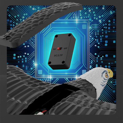 Літак-птица на радіокеруванні SCHE HW40 Eagle Black