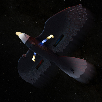 Літак-птица на радіокеруванні SCHE HW40 Eagle Black