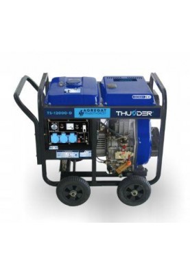 Дизельний генератор THUNDER TS-12000-D