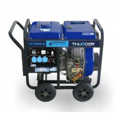 Дизельний генератор THUNDER TS-12000-D