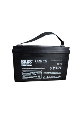 Акумулятор Bass Polska AGM BP-5976