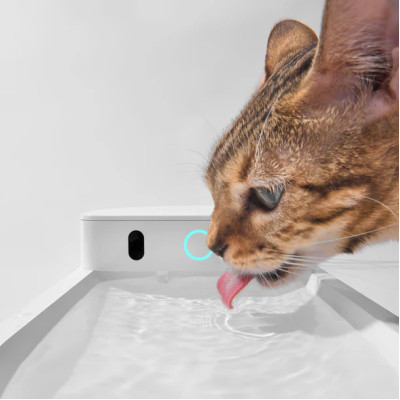 Поїлка CATLINK AI Water Fountain - Wired (6972884750880)