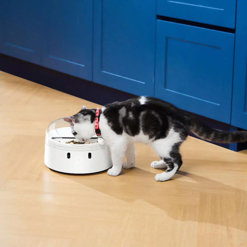 Смарт годівниця CATLINK RFID Pet Feeder - Standard (6972884750965)