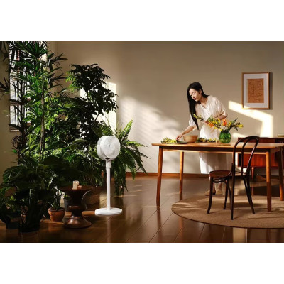 Вентилятор Xiaomi Mijia 18W Circulation Fan + (перехідник на EU розетку) (BPLDS08DM) Вентилятор Xiaomi Mijia 18W Circulation Fan + (перехідник на EU розетку) (BPLDS08DM)