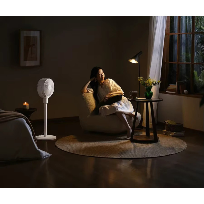 Вентилятор Xiaomi Mijia 18W Circulation Fan + (перехідник на EU розетку) (BPLDS08DM)
