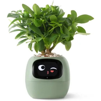 Інтерактивний розумний горщик для рослин Ivy Smart Planter Tuya AI, Green (ISPTAG)