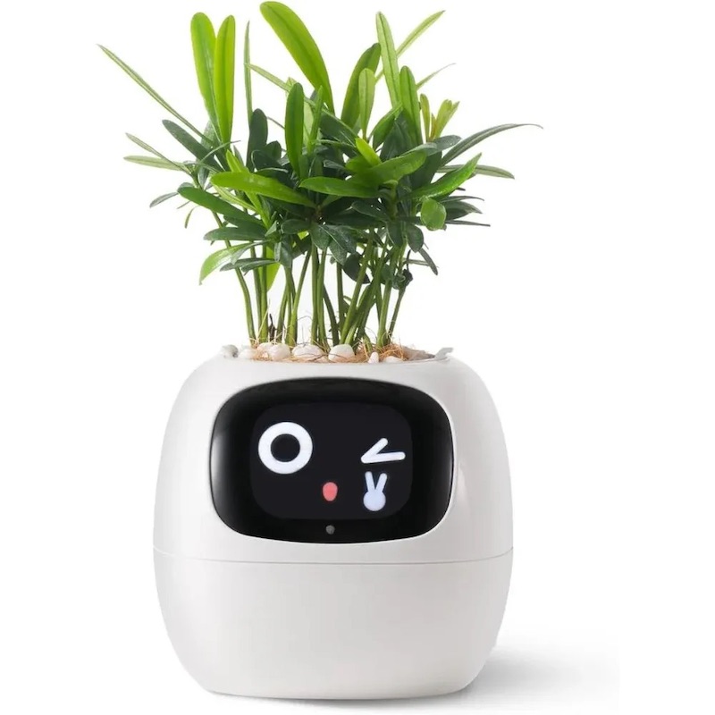 Інтерактивний розумний горщик для рослин Ivy Smart Planter Tuya AI, White (ISPTAW)