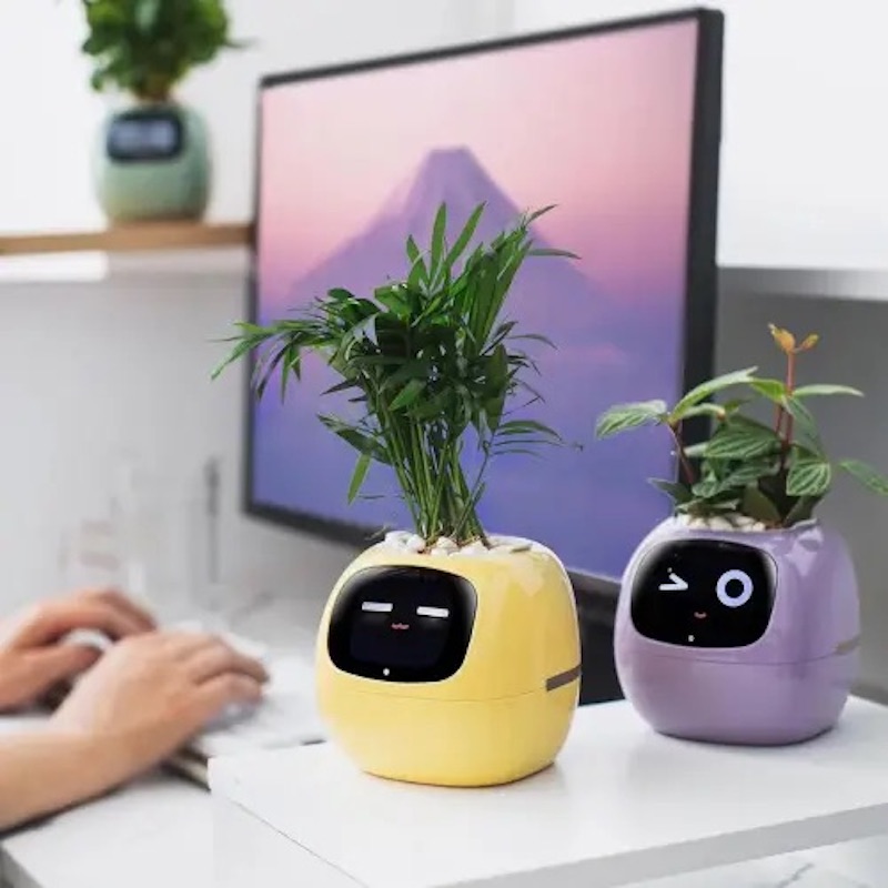 Інтерактивний розумний горщик для рослин Ivy Smart Planter Tuya AI, White (ISPTAW)