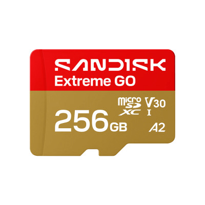Карта пам'яті microSDXC (UHS-1 U3) SanDisk Extreme GO A2 256Gb class 10 V30 (R240MB/s,W160MB/s) (SDSQXGN-256G-GN6MN)