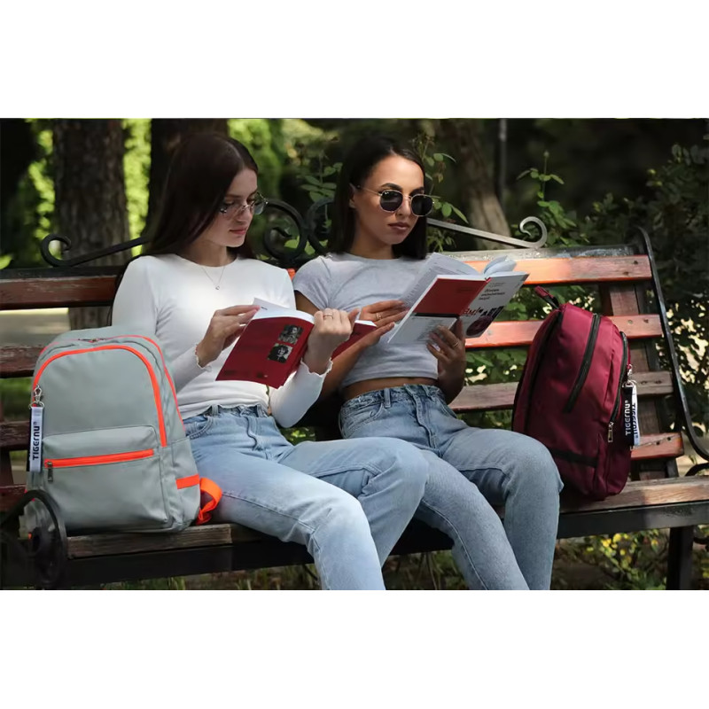 Рюкзак Tigernu T-B9030B 15.6" Gray (T-B9030BG)