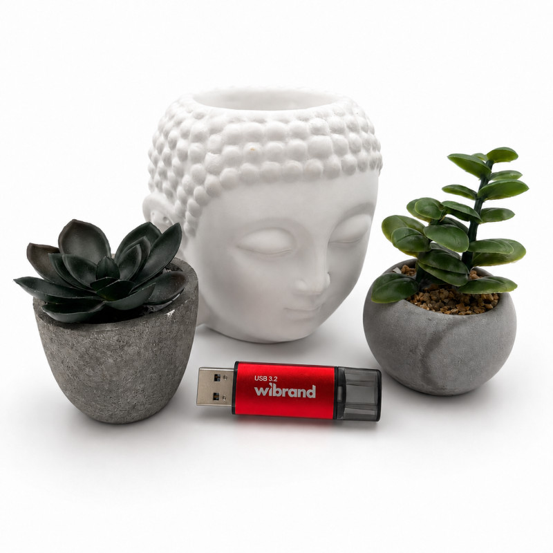Флеш-накопичувач Wibrand USB 3.2 Gen1 Ladybug 128GB Red (WI3.2/LB128P10S)