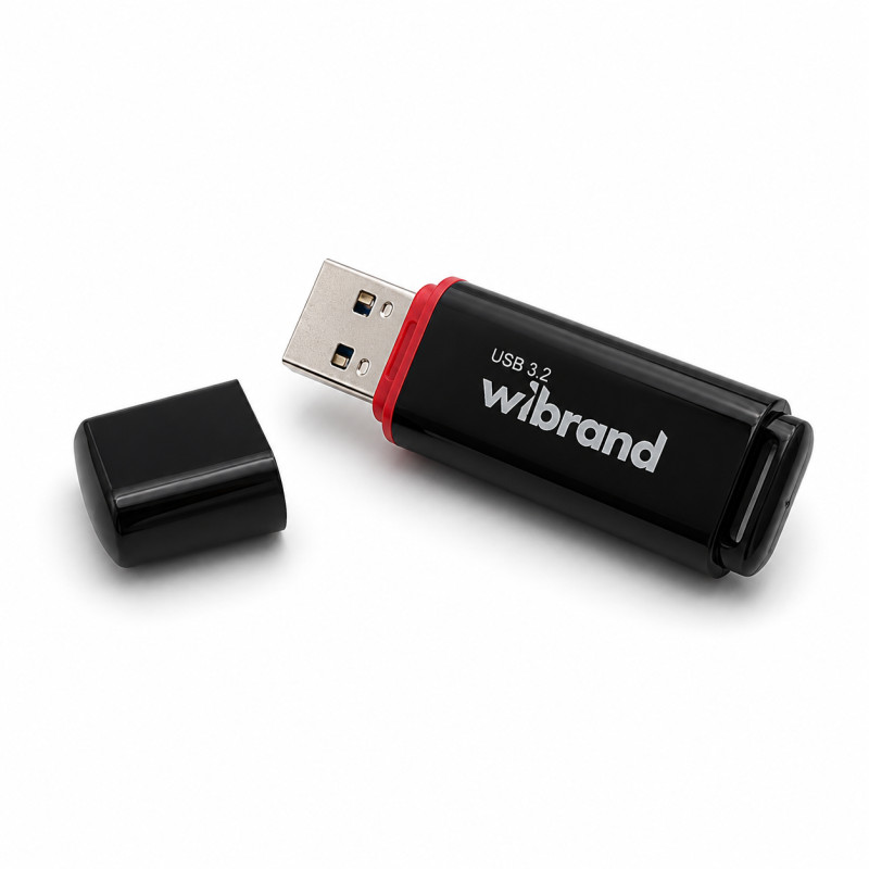 Флеш-накопичувач Wibrand USB 3.2 Gen1 Scarab 128GB Black (WI3.2/SC128P11B)