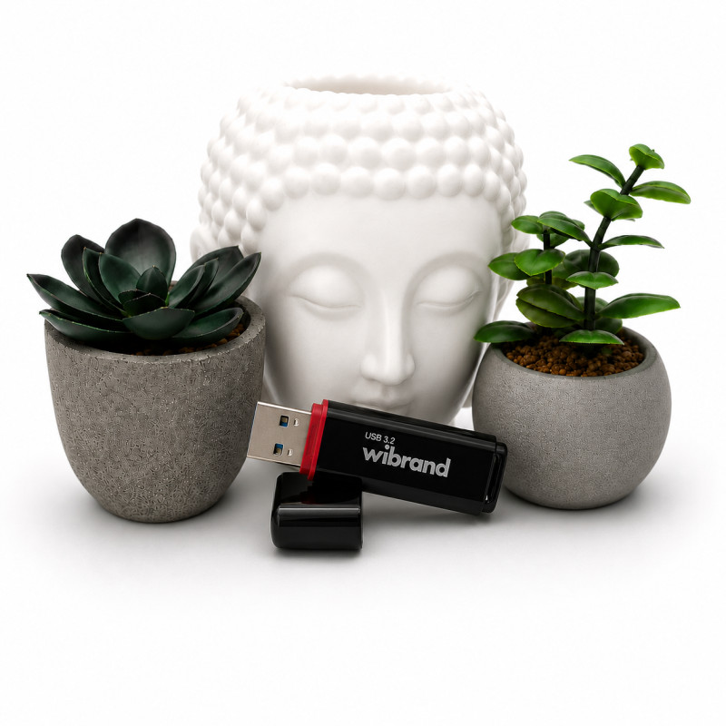 Флеш-накопичувач Wibrand USB 3.2 Gen1 Scarab 128GB Black (WI3.2/SC128P11B)
