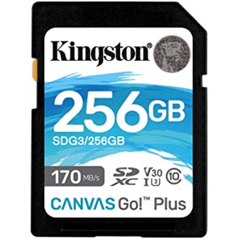 SDXC (UHS-1 U3) Kingston Canvas Go Plus 256Gb class 10 V30 (R170MB/s, W90MB/s)