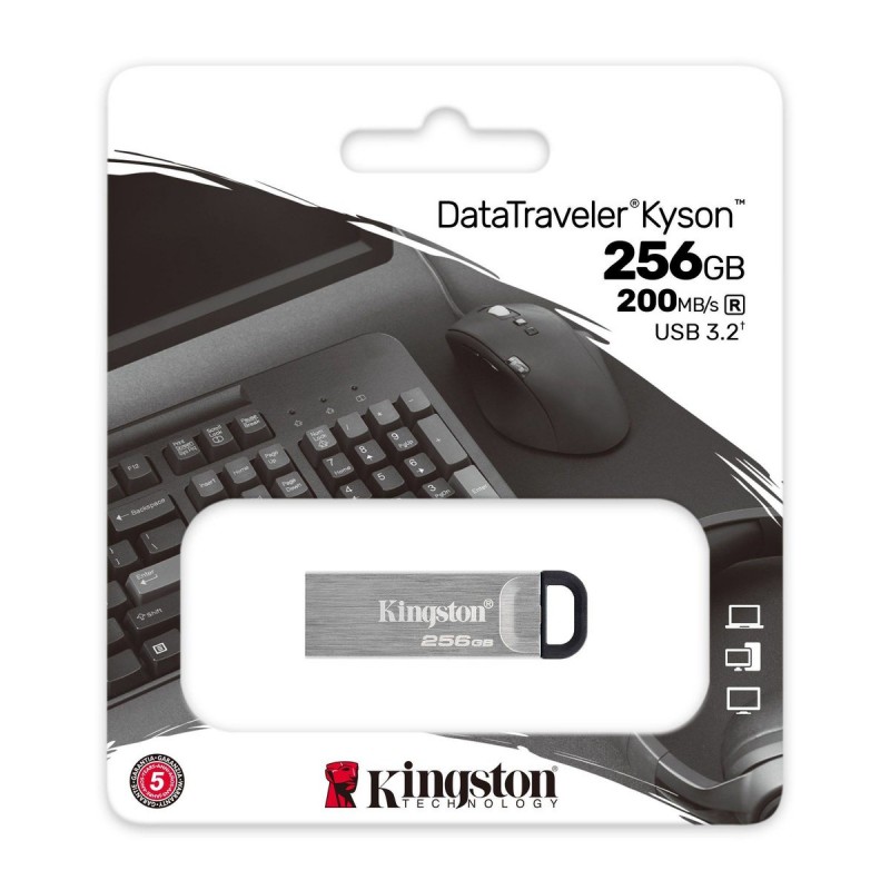 Flash Kingston USB 3.2 DT Kyson 256GB Silver/Black