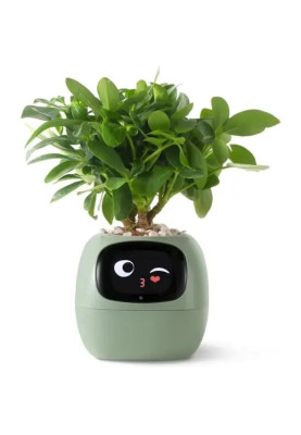 Інтерактивний розумний горщик для рослин Ivy Smart Planter Tuya AI, Green