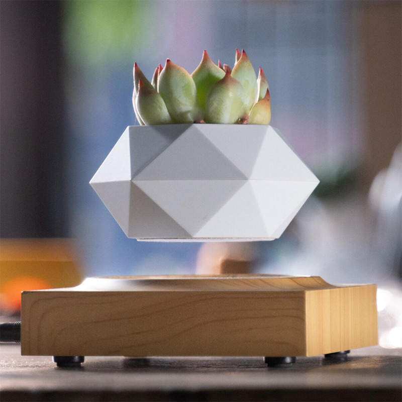 Магнітний левітаційний горщик для рослин HCNT Magnetic Levitating Pot M10-FP  Wood Grain