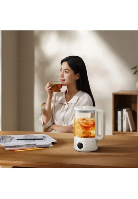 Заварювальний чайник Xiaomi Mijia Smart Multifunctional Health Kettle S1 + (перехідник на EU розетку)