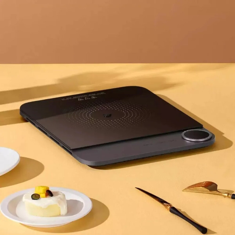 Індукційна плита Xiaomi Mijia Ultra-Thin Induction Cooker + (перехідник на EU розетку)