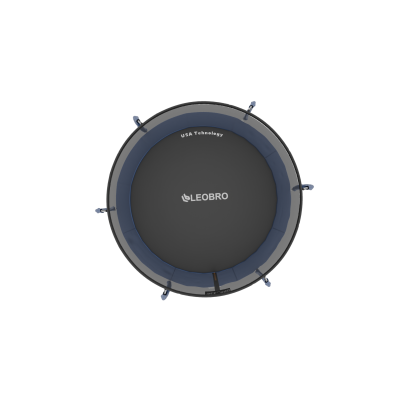 Батут із внутрішньою захисною сіткою 312 см LEOBRO Premium Pro 10FT BLUE