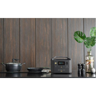 Зарядна станція EcoFlow RIVER Pro 720 Wh (EFRIVER600PRO-EU)