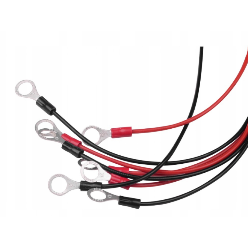 Балансир для акумуляторів Volt Polska AKU PROTECT 48V (6AEQ48V001)