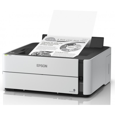 Принтер Epson M1180 (C11CG94403)