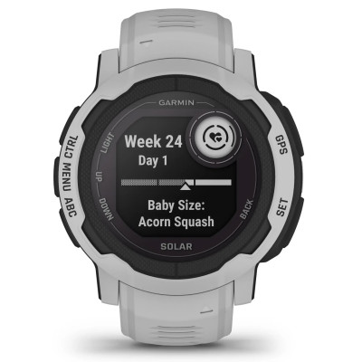 Смарт-годинник Garmin Instinct 2 Solar Mist Gray (010-02627-11)