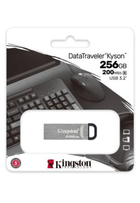 Флеш накопичувач USB 256Gb Kingston DataTraveler Kyson, Silver, USB 3.2 Gen 1, до 200/60 МБ/с (DTKN/256GB)