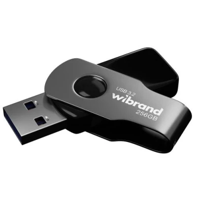 Флеш накопичувач USB 256Gb Wibrand Lizard, Black, USB 3.2 Gen 1 (WI3.2/LI256P9B)
