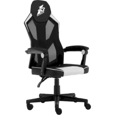 Ігрове крісло 1stPlayer P01 Black-White, максимально допустиме навантаження 120 кг, регульована спинка з кутом нахилу до 135 градусів, у комплекті поперекова подушка Ігрове крісло 1stPlayer P01 Black-White, максимально допустиме навантаження 120 кг, регульована спинка з кутом нахилу до 135 градусів, у комплекті поперекова подушка