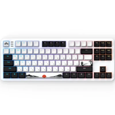 Клавіатура Dark Project 87 Fuji V2, White/Black, USB, механічна (перемикачі Linear g3ms Sapphire), RGB підсвічування, 87 кнопок, кабель 1.8 м, UA/EN (DPKB_FUJI_87_ANSI)