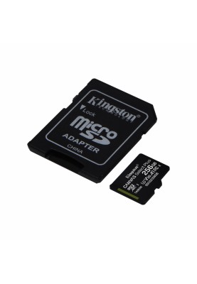 Карта пам'яті microSDXC, 256Gb, Class10 UHS-I U3 V30 A1, Kingston Canvas Select Plus, SD адаптер, R100/W85 MB/s (SDCS2/256GB)