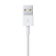 Кабель USB-Lightning 1 м Apple White (MXLY2ZM/A)