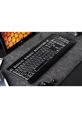 Клавіатура 2E KS120, Black, USB, біле підсвічування, 12 мультимедіа клавіш, 1.5 м (2E-KS120UB)
