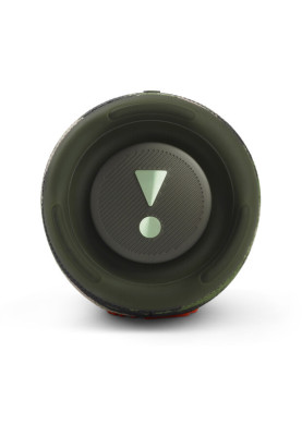 Bluetooth Колонка JBL Charge 5 (JBLCHARGE5GRN) green UA