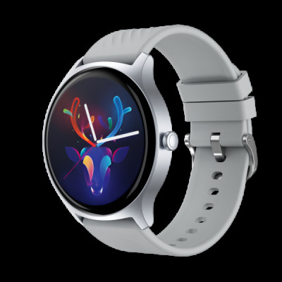 Smart Watch Proove Harmony silver UA
