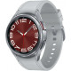 Smart Watch Samsung Galaxy Watch 6 Classic 43mm LTE Silver (SM-R955FZSA) Global version