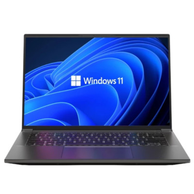 Ноутбук Acer Swift X 14  SFX14-71G-53S0 (NX.KMPEU.001) UA UCRF