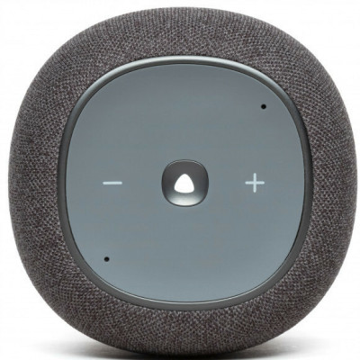 Bluetooth Колонка JBL Link Musik (JBLLINKMUSICGRYEU) Gray UA