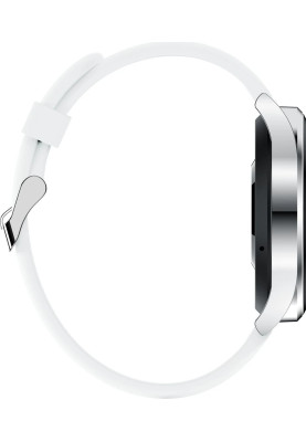 Smart Watch Black Shark S1 Classic (BS-S1C) Silver UA