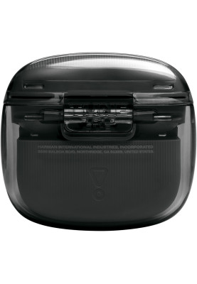 TWS JBL TUNE FLEX 2 5.3 (JBLTFLEX2GBLK) Ghost Black UA