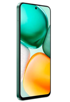 Смартфон Honor X7c 8/256Gb Forest Green Global version