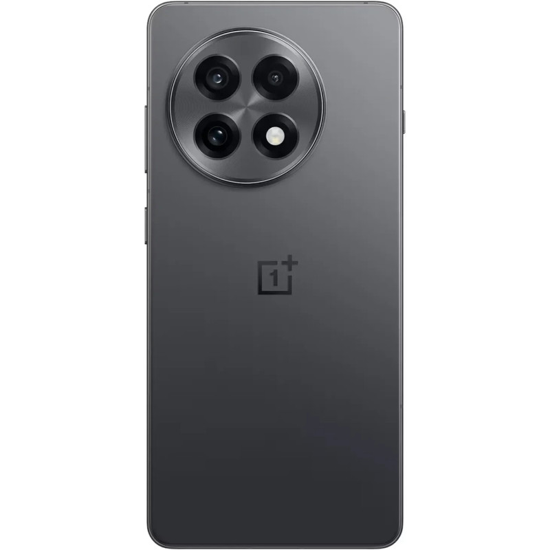 Смартфон OnePlus 13R (CPH2645) 12/256Gb Nebula Noir Global version