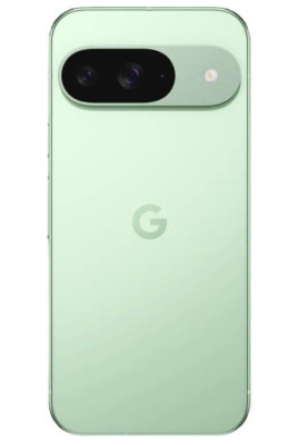 Смартфон Google Pixel 9 12/256GB Wintergreen US