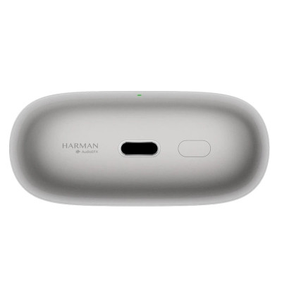 TWS Xiaomi Buds 5 Pro Titan Gray (BHR9640GL) UA
