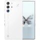 Смартфон ZTE Nubia Redmagic Gaming 10 Pro 5G 12/256Gb (NX789J) Lightspeed Global version