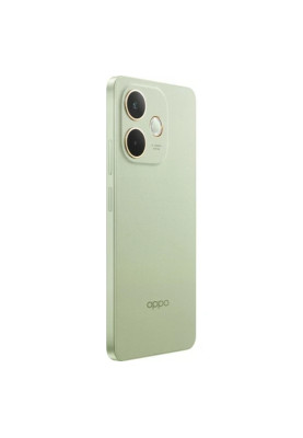Смартфон OPPO A5 Pro 4G 8/256Gb Olive Green (CPH2711) UA UCRF